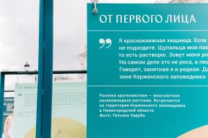 Анастасия Коновалова