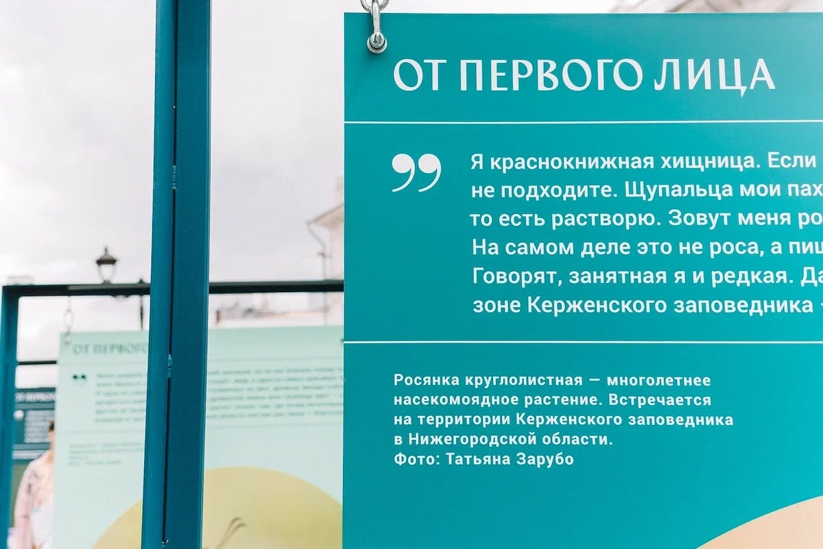 Анастасия Коновалова