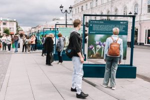 Анастасия Коновалова