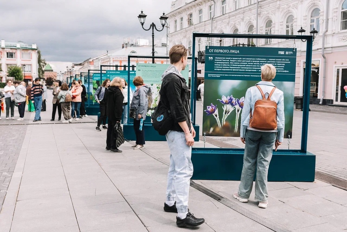 Анастасия Коновалова