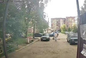 Неизвестный стреляет по бродячим собакам на Сортировке