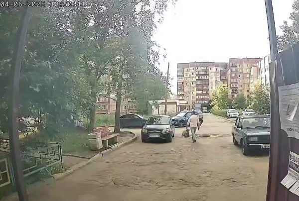 Неизвестный стреляет по бродячим собакам на Сортировке