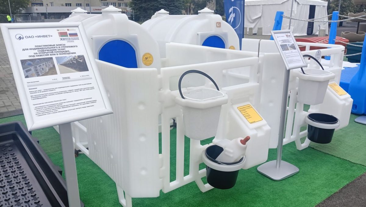 Юлия Полякова