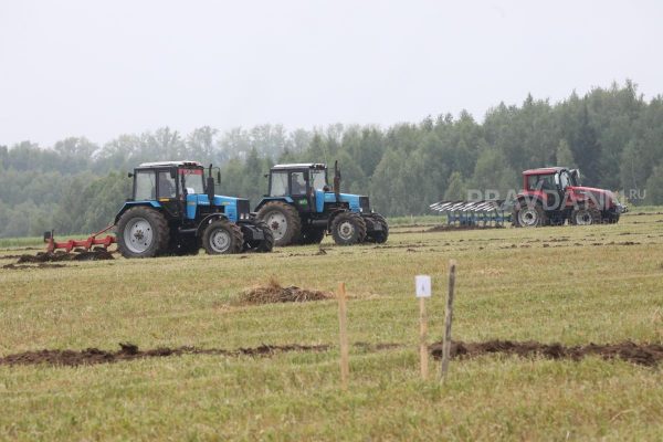 13 тысяч гектаров неиспользуемых земель Нижегородской области засеяли зерном