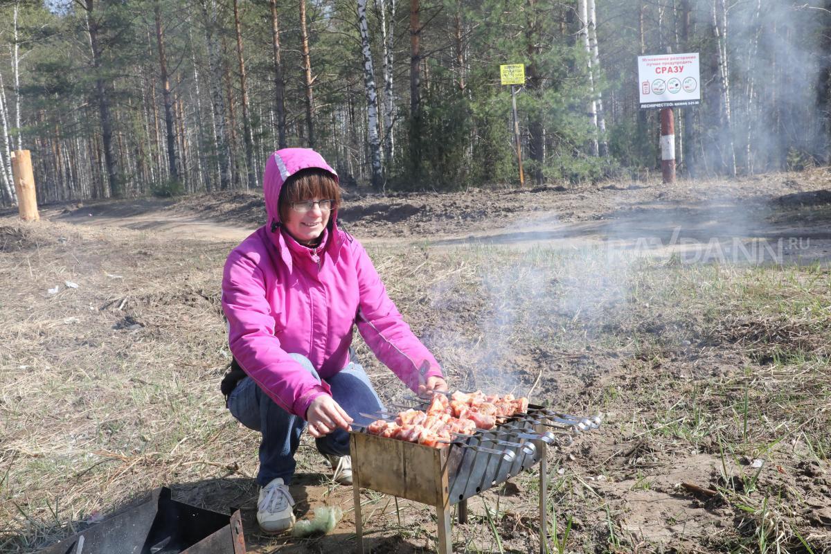 Лишь 8% нижегородцев не любят шашлыки