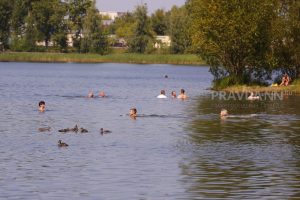 Правда или ложь: в прудах и озерах Нижегородской области нашествие церкарий?