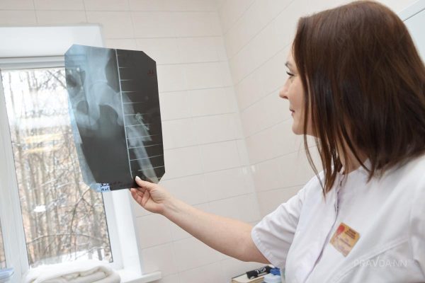Нижегородцы стали на 30% чаще искать работу летом