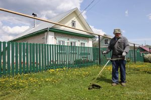 За забор оштрафуют? Как отгородить участок и не поссориться с соседом по даче