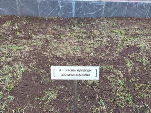 Арт-объект «Башни» на площади Сенной