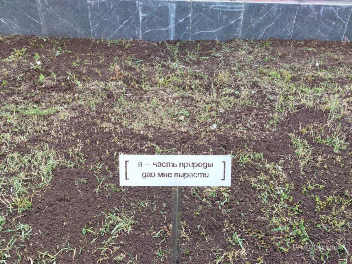 Арт-объект «Башни» на площади Сенной