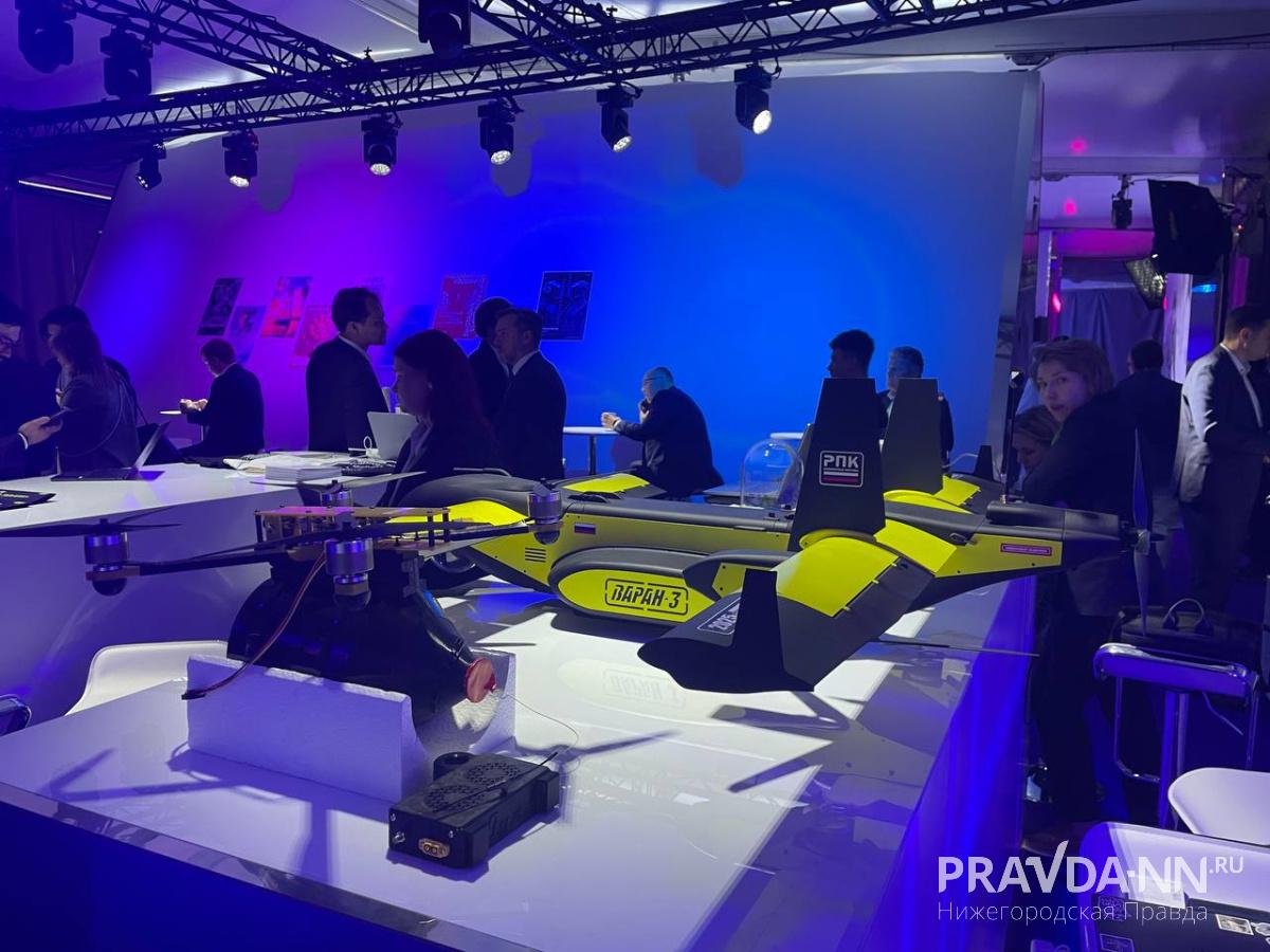 Анастасия Красушкина