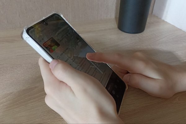 Национальный цифровой сервис запустят в России