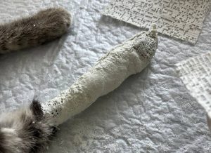 Госветуправление Нижнего Новгорода