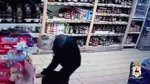 В Нижнем Новгороде служебная собака помогла задержать похитителя 24 шоколадок