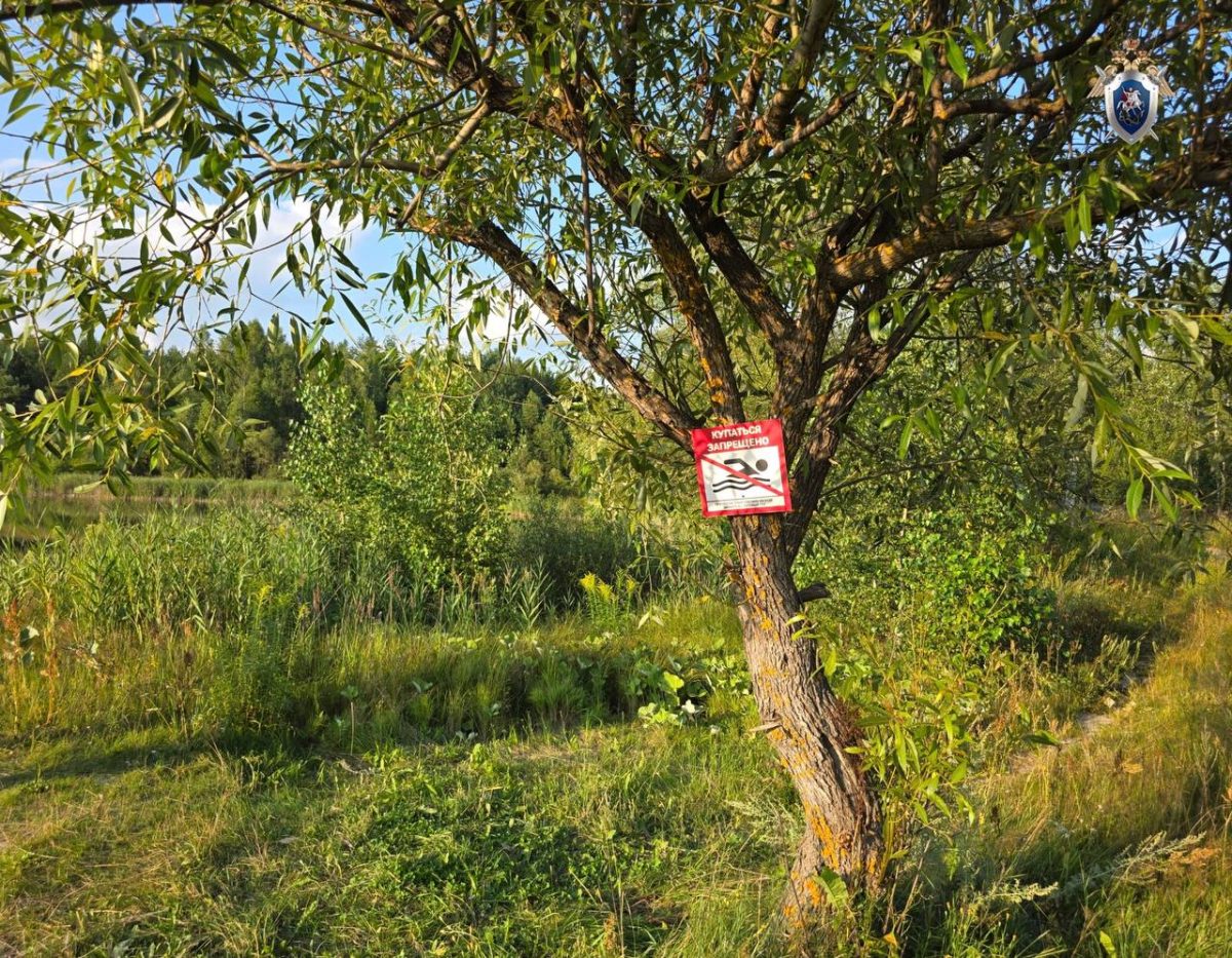 Тело утонувшего 8‑летнего ребёнка достали из пруда в Вознесенском округе