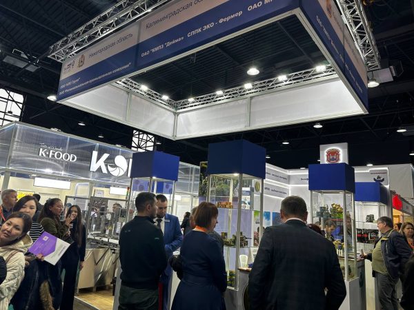 Нижегородские предприятия приглашают к участию в выставке KazBuild 2025