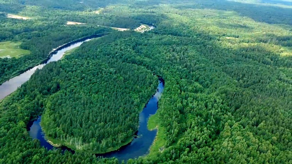 ИИ поможет выявлять пожары и незаконные рубки в лесах Нижегородской области