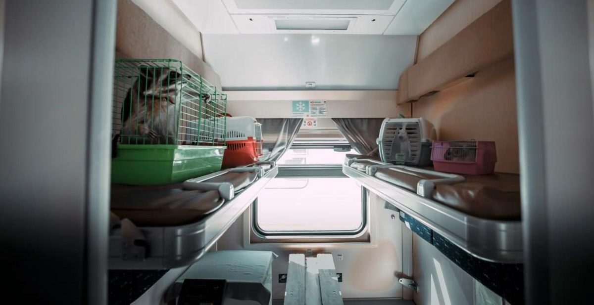 Около 1,4 тысяч питомцев перевезла Горьковская магистраль с начала года