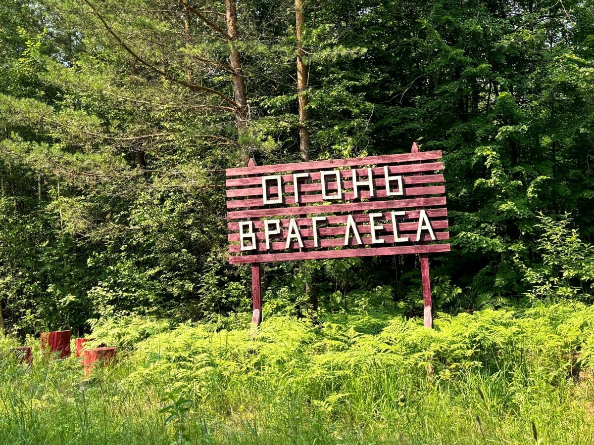 Минлесхоз напоминает нижегородцам о соблюдении правил пожарной безопасности в лесах