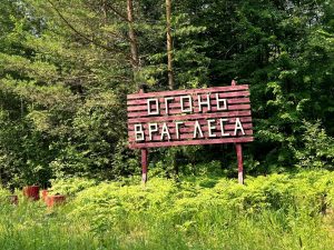 Минлесхоз напоминает нижегородцам о соблюдении правил пожарной безопасности в&nbsp;лесах