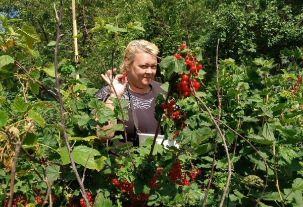 Хорошему урожаю погода не помешает: нижегородка Марина Глызова поделилась правилами работы в огороде