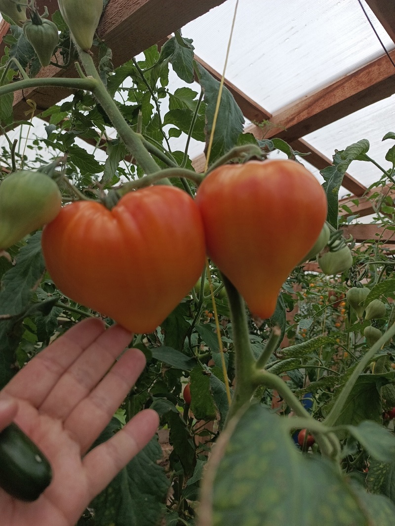 из архива героини