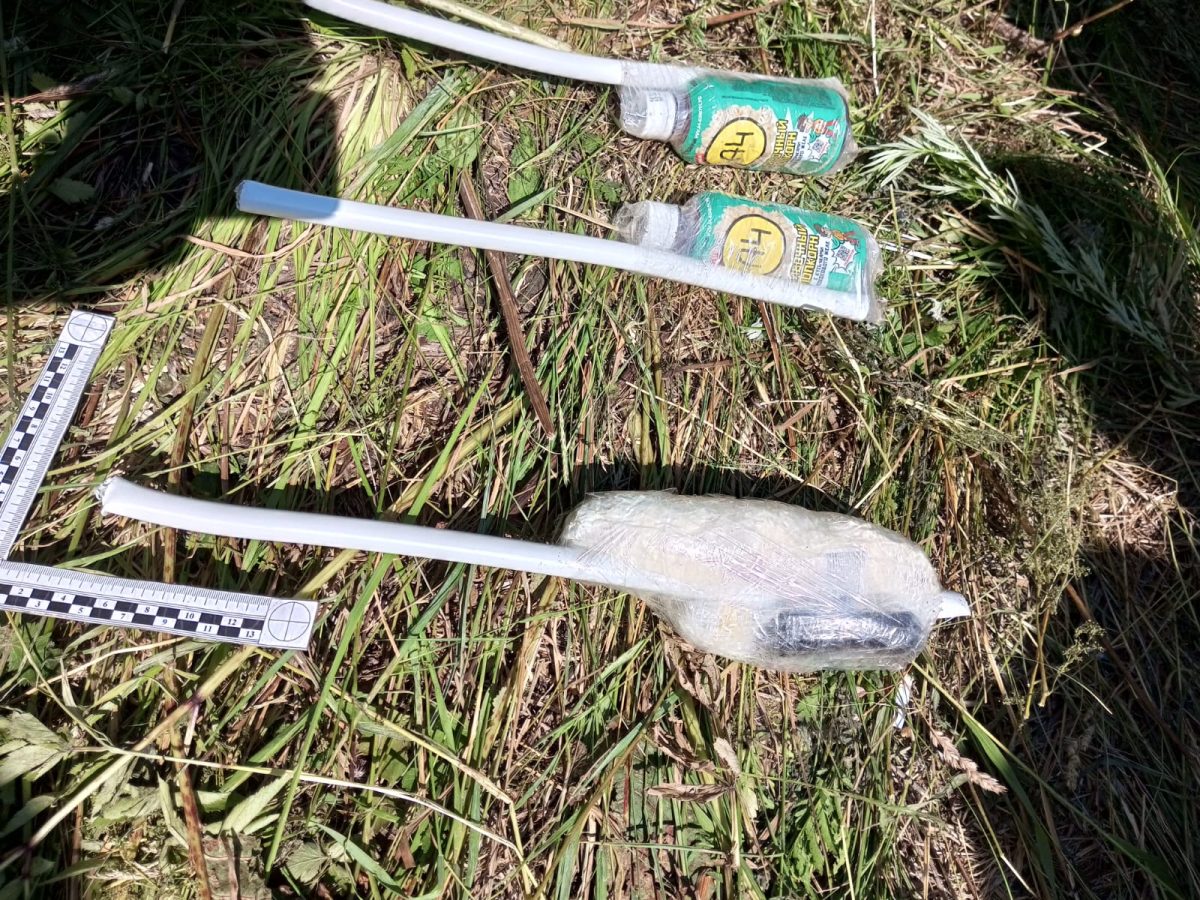 Мужчина пытался передать наркотики и спиртное в колонию в Семеновском округе