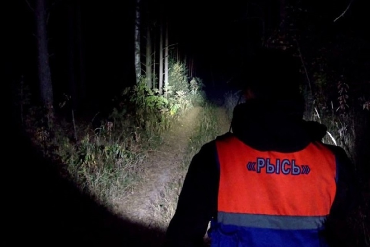 Нижегородские волонтеры рассказали, как люди теряются в лесу и как их ищут