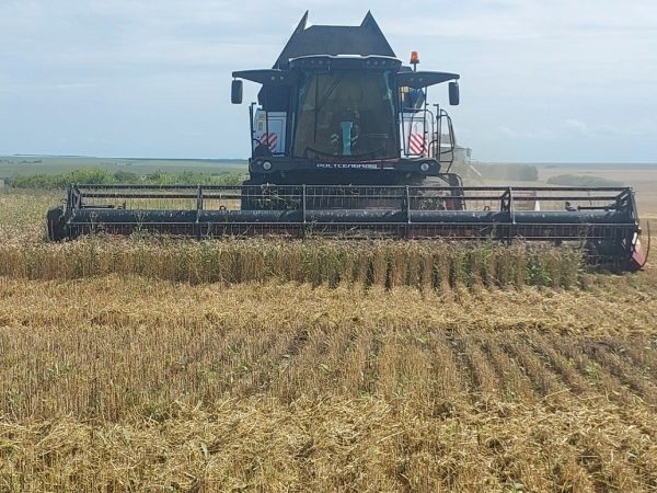 Уборочная кампания стартовала в Нижегородской области