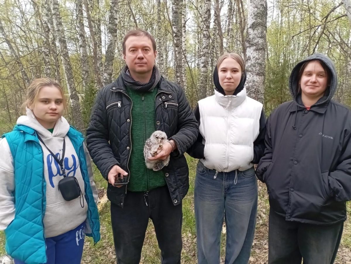 Нижегородские подростки реализуют проект по защите сов и соколов