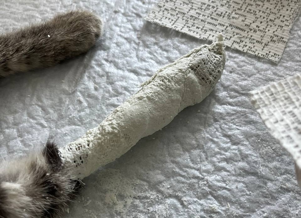 Госветуправление Нижнего Новгорода