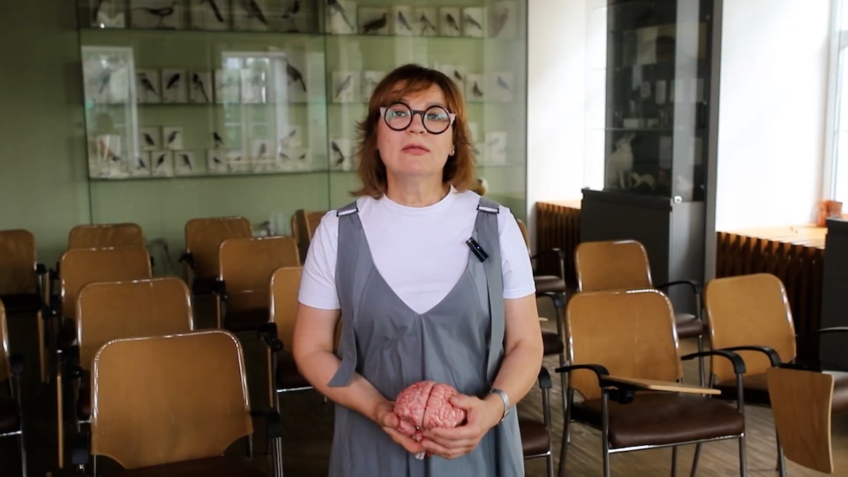 Нейробиолог Татьяна Маясова рассказала, чем отличается мужской мозг от женского