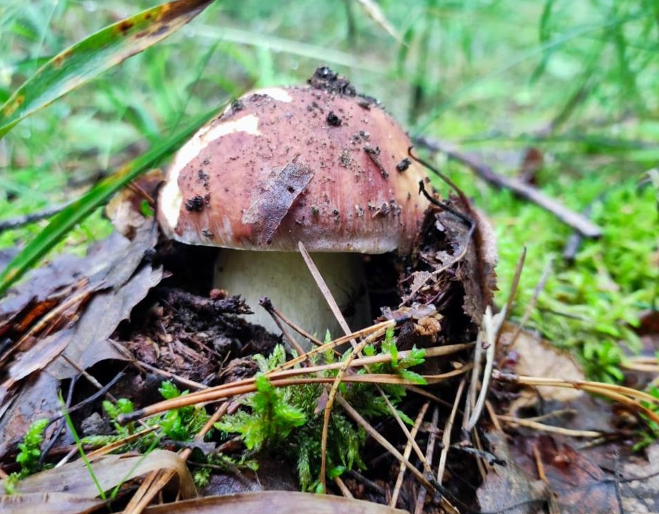 Юрий Шалабаев рассказал о «тихой охоте» с семьей