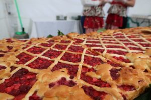 пресс-служба РИК НРО "ЕДИНАЯ РОССИЯ"