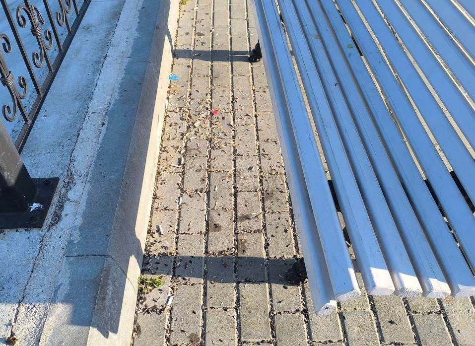 Мудров предложил «натыкать клювом» жителей Городца за оставленный мусор