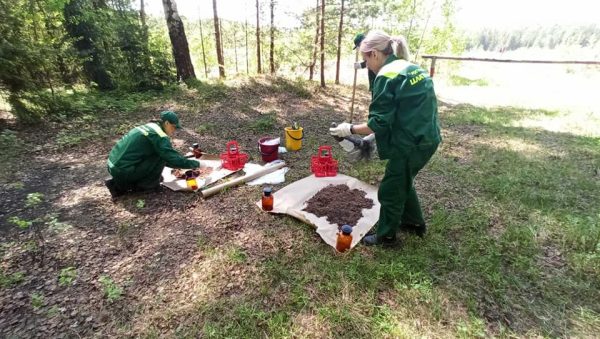Семеновское МБУ обязали выплатить 4 млн рублей за ущерб почвам