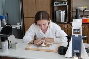 Около 56% нижегородцев самостоятельно выбрали будущую профессию
