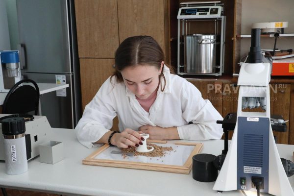 Около 56% нижегородцев самостоятельно выбрали будущую профессию