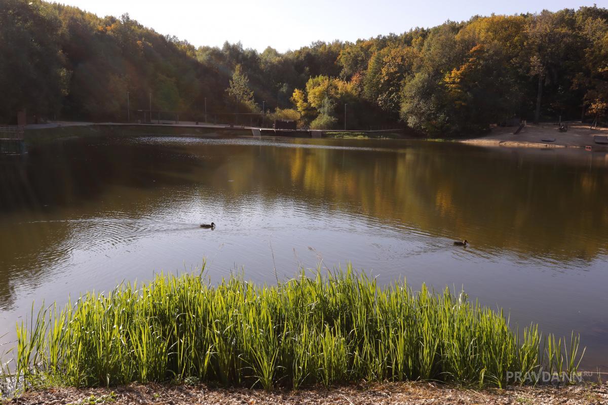 Купаться разрешили только в 11 водоемах Нижнего Новгорода