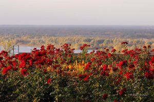 Тёплая и солнечная погода ожидается в Нижнем Новгороде на новой рабочей неделе