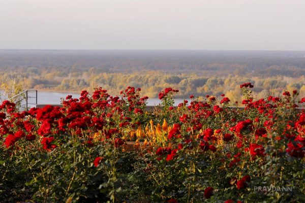 Тёплая и солнечная погода ожидается в Нижнем Новгороде на новой рабочей неделе
