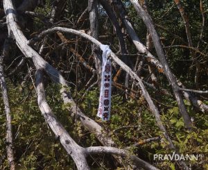 Кира Папилова