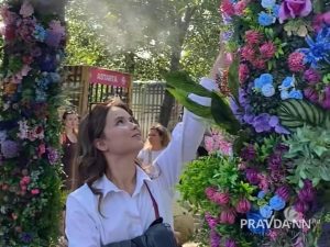 Екатерина Токарская