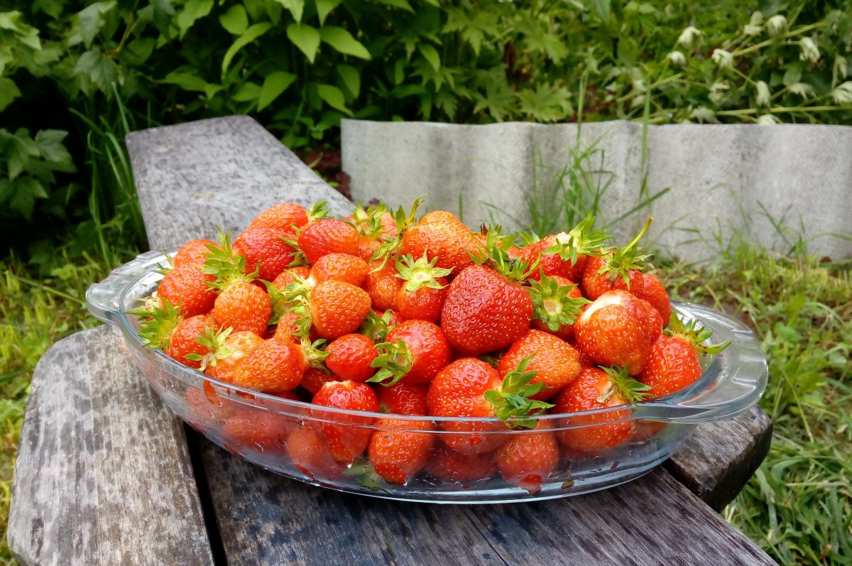 Иммунолог Чурюкина назвала фрукты и ягоды, способные вызвать опасный отёк Квинке