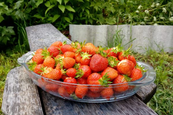 Иммунолог Чурюкина назвала фрукты и ягоды, способные вызвать опасный отёк Квинке