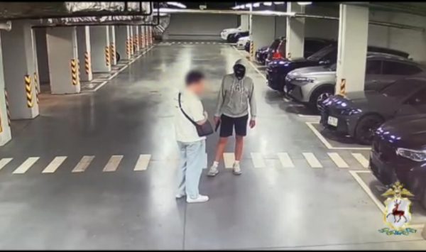 На 19-летнего нижегородца напали и похитили его иномарку за 13 млн рублей