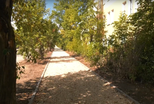 В Дзержинске продолжается ремонт проездов к учреждениям социальной сферы