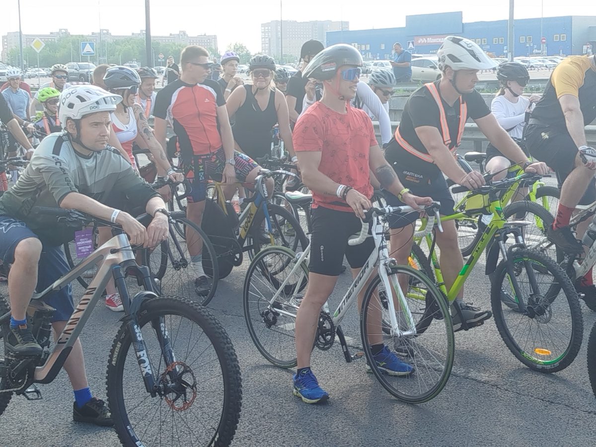 Елена Власова