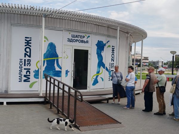 Около 11 тысяч нижегородцев стали участниками марафона «Мы за&nbsp;ZОЖ!»