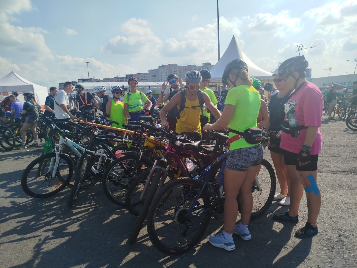 Елена Власова